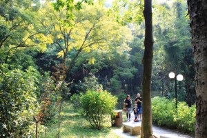 広州の大自然、観光名所